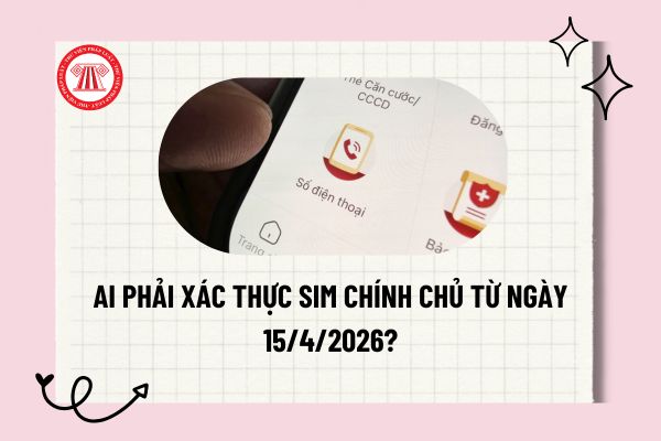 Pháp luật