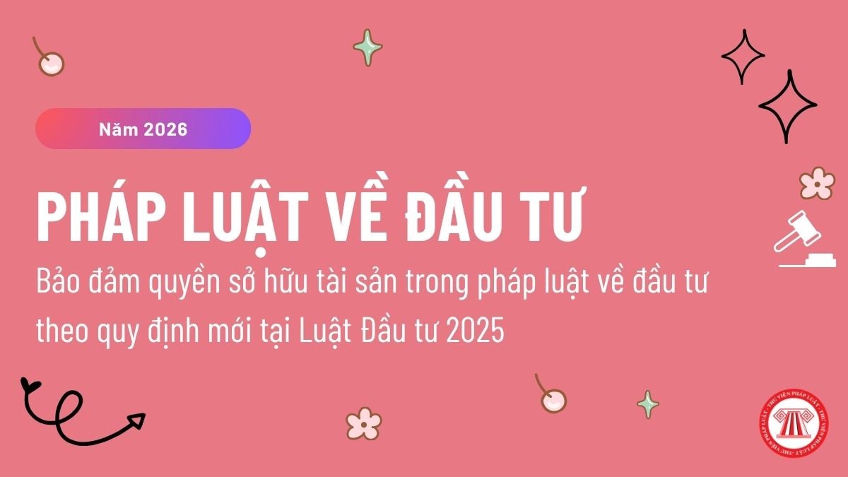 Pháp luật