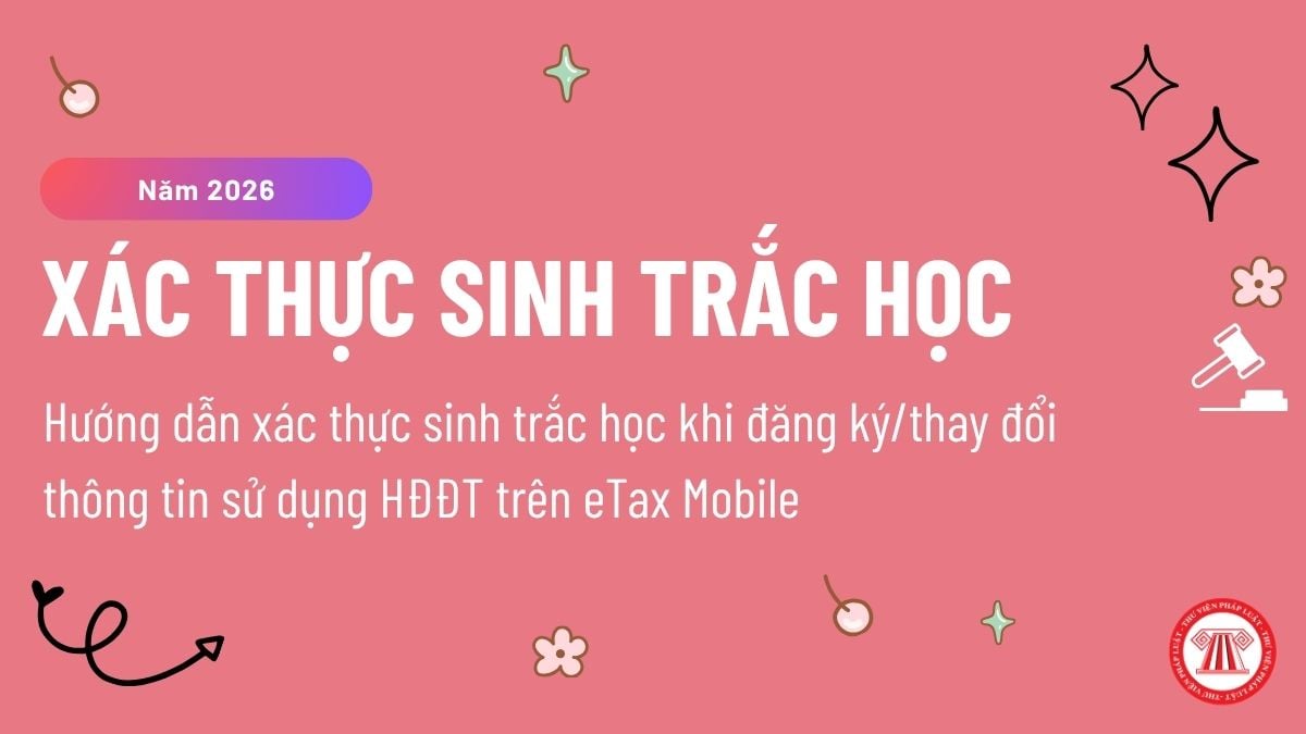 Hướng dẫn xác thực sinh trắc học khi đăng ký/thay đổi thông tin sử dụng HĐĐT trên eTax Mobile chi tiết?