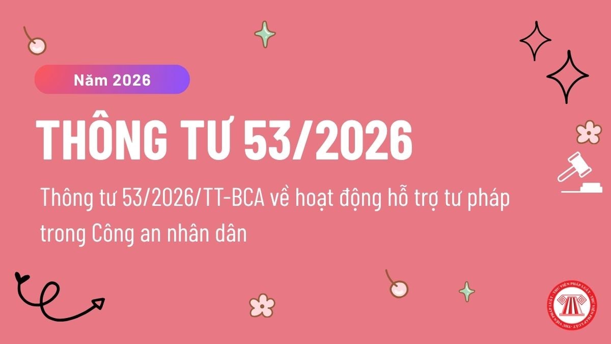Pháp luật