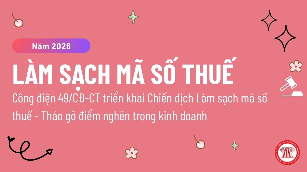 Pháp luật