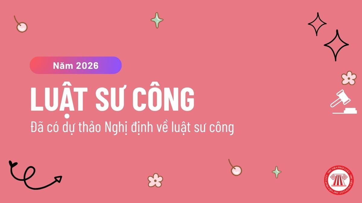 Pháp luật