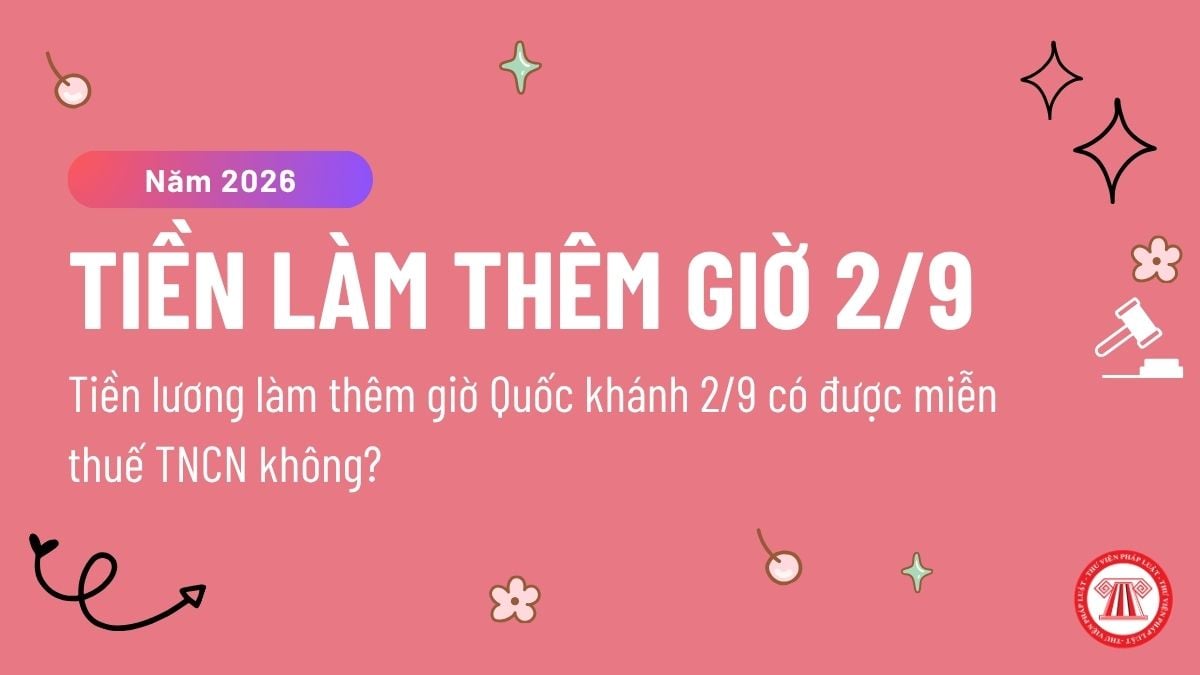 Pháp luật