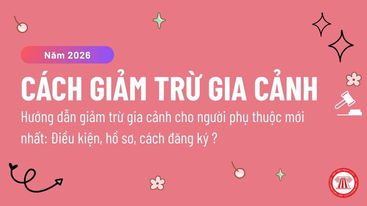 Pháp luật