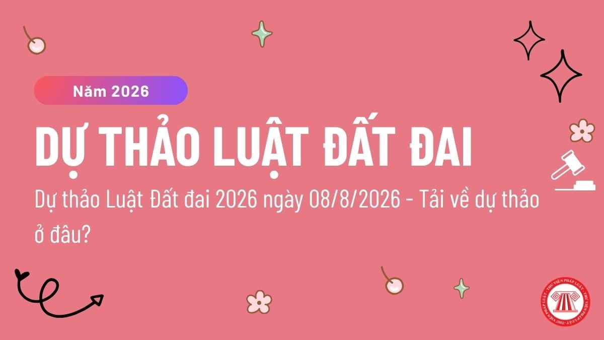 Pháp luật