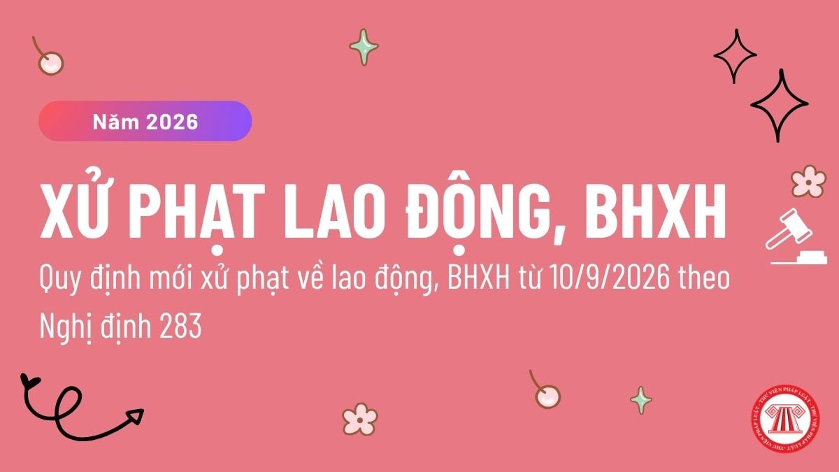 Pháp luật