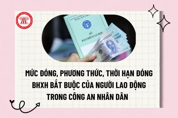 Pháp luật
