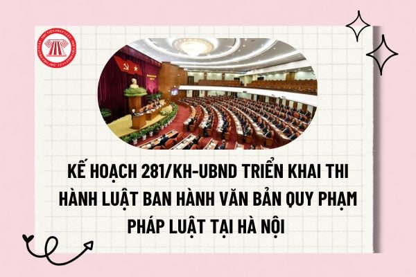 Pháp luật