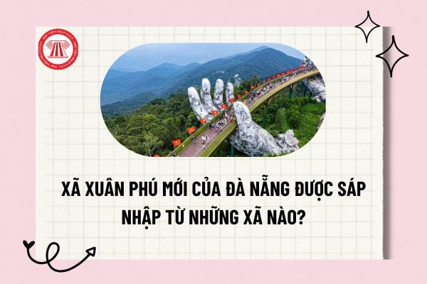 Pháp luật