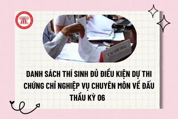 Pháp luật