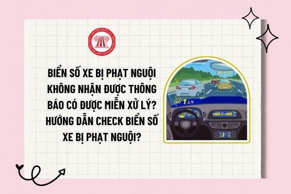 Biển số xe bị phạt nguội không nhận được thông báo có được miễn xử lý? Hướng dẫn check biển số xe bị phạt nguội?