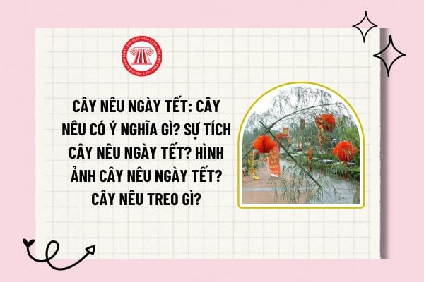 Cây nêu ngày Tết: Cây nêu có ý nghĩa gì? Sự tích cây nêu ngày Tết? Hình ảnh cây nêu ngày Tết? Cây nêu treo gì?