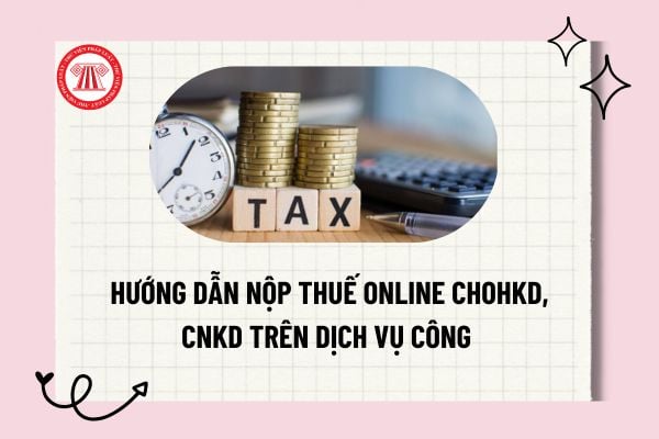 Pháp luật