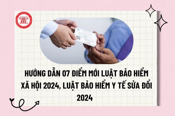 Pháp luật