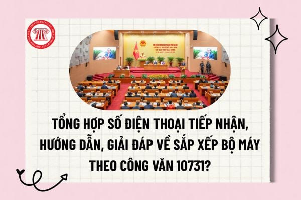 Pháp luật