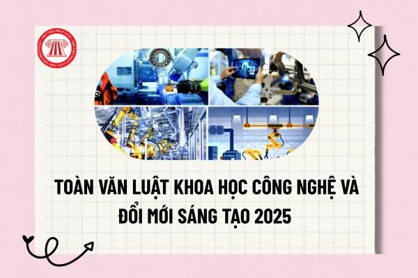 Pháp luật