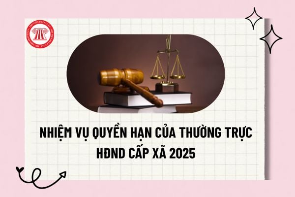 Pháp luật