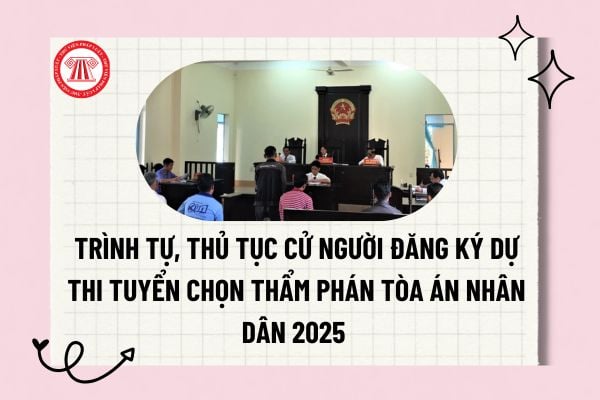 Pháp luật