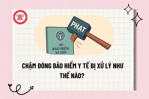 Pháp luật