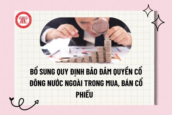 Pháp luật