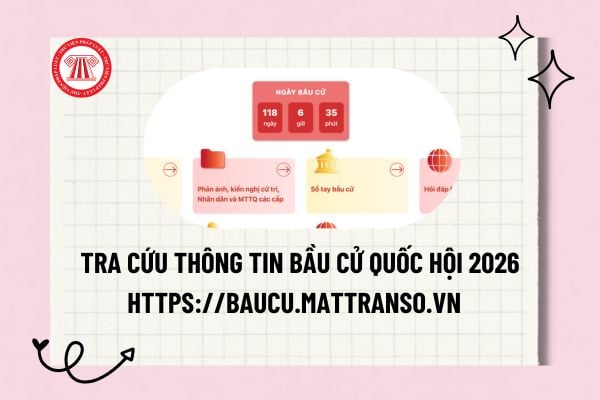 Pháp luật