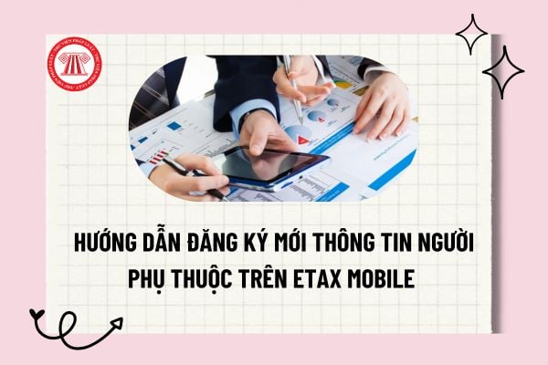 Pháp luật