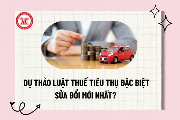 Pháp luật