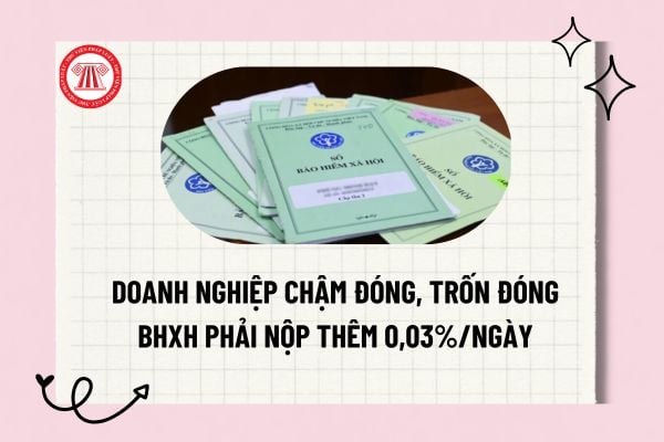 Pháp luật