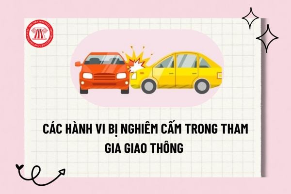 Pháp luật