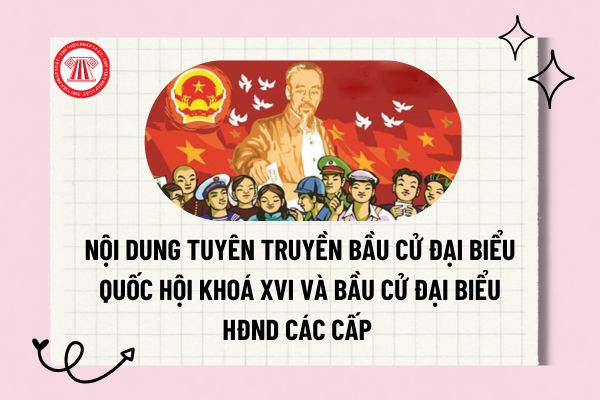 Pháp luật