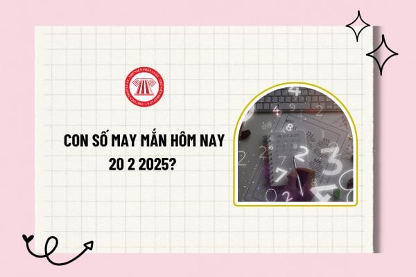 Con số may mắn hôm nay 20 2 2025? 3 con số may mắn hôm nay 20 2 2025? Con số may mắn hôm nay theo 12 con giáp?