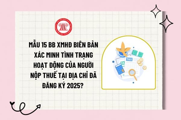 Mẫu 15 BB XMHĐ Biên bản xác minh tình trạng hoạt động của người nộp thuế tại địa chỉ đã đăng ký 2025?