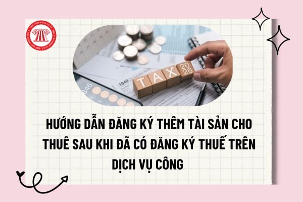 Pháp luật