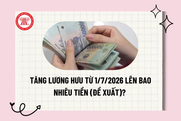 Pháp luật