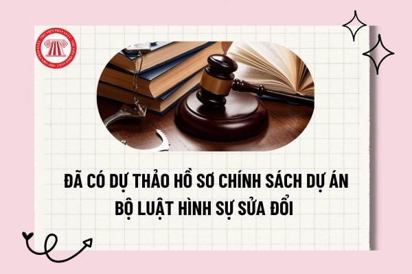 Pháp luật