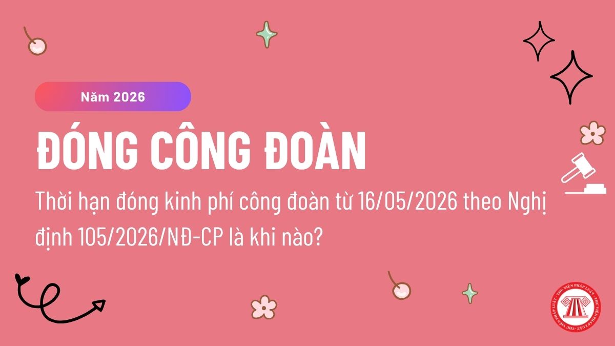 Pháp luật
