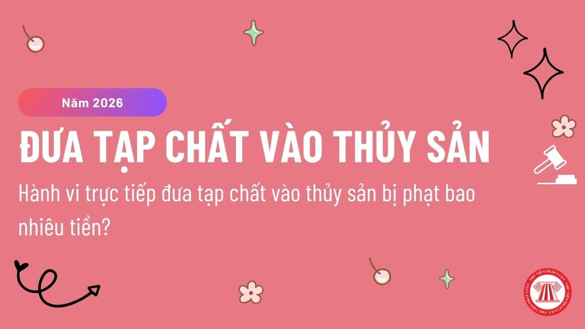 Pháp luật