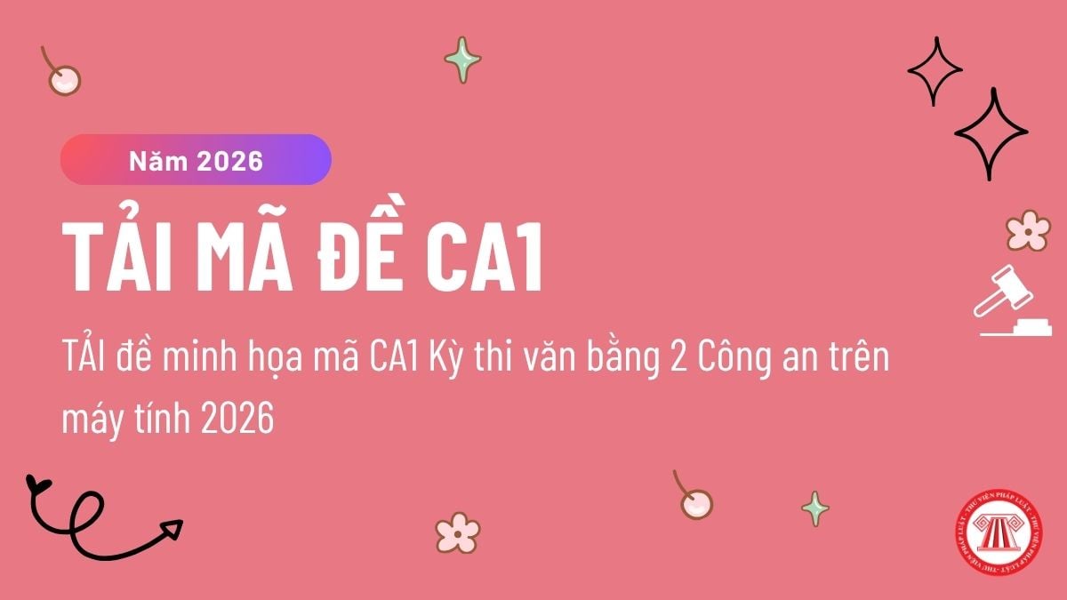 Pháp luật