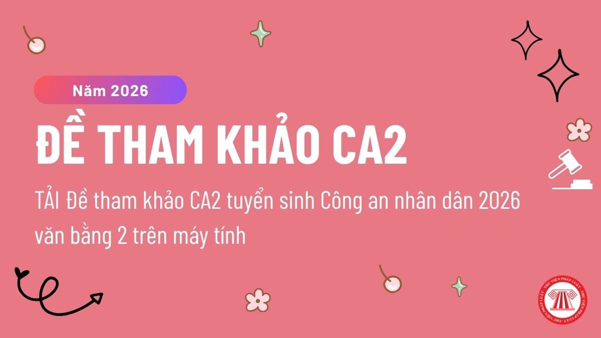 Pháp luật