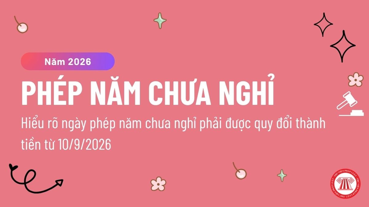 Pháp luật