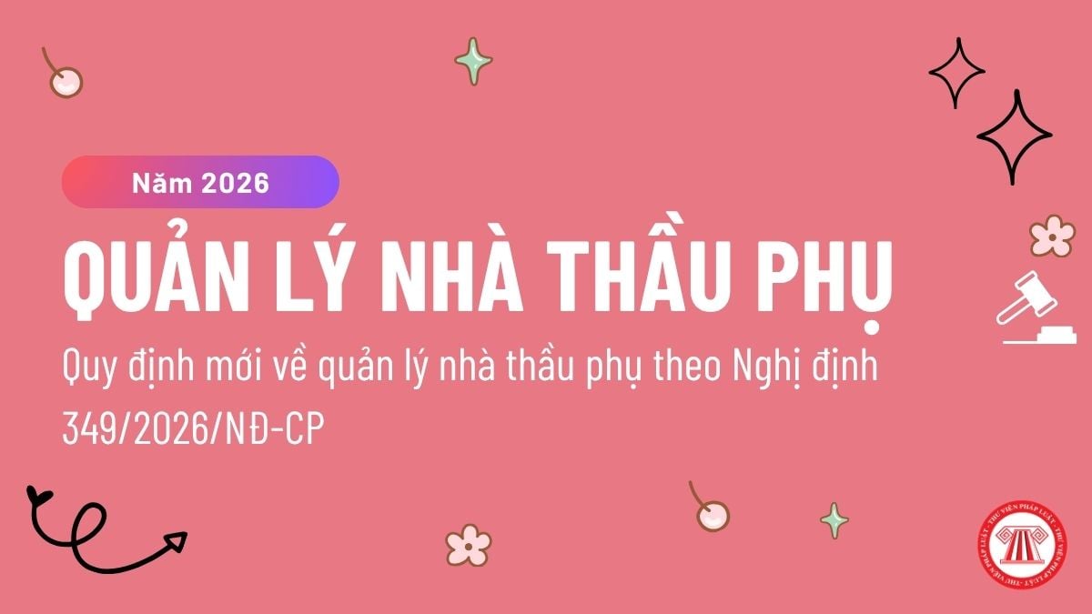 Pháp luật