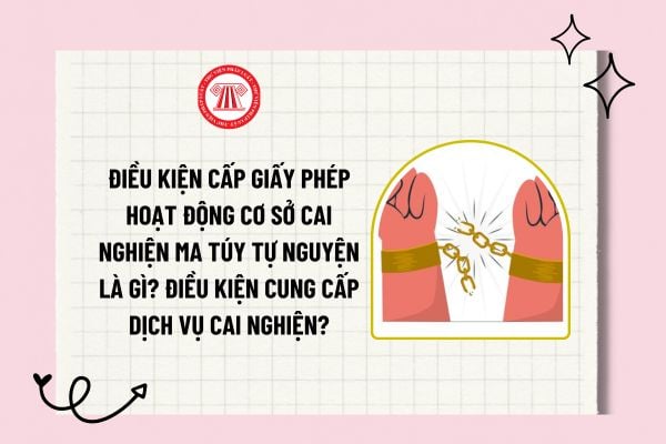 Điều kiện cấp giấy phép hoạt động cơ sở cai nghiện ma túy tự nguyện là gì? Điều kiện cung cấp dịch vụ cai nghiện?