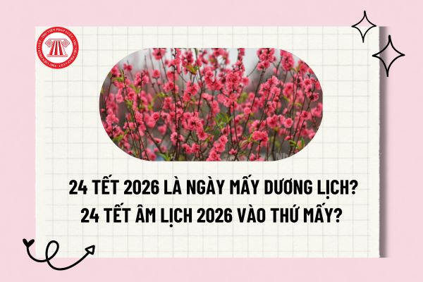 Pháp luật