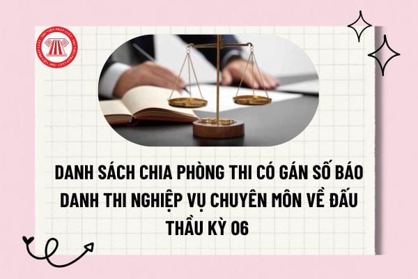 Pháp luật
