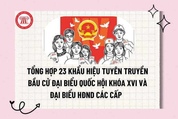 Pháp luật