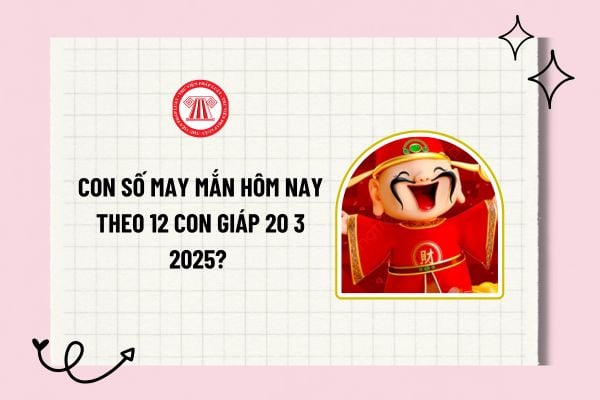 Con số may mắn hôm nay theo 12 con giáp 20 3 2025? Các con số may mắn tài lộc hôm nay 20 3 2025?