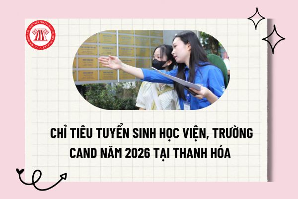 Pháp luật