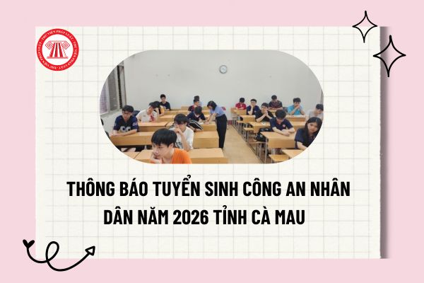 Pháp luật