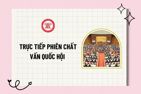 Pháp luật
