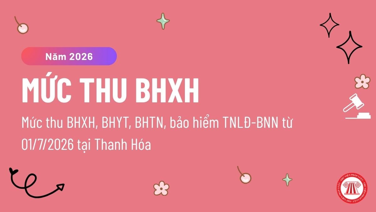 Pháp luật